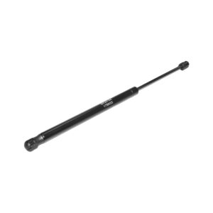 Amortizor hayon Dacia SuperNova. Solenza. Megane 6001538685