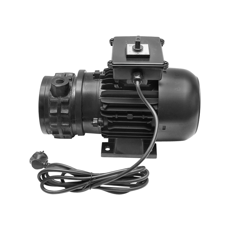 Pompa vacuum uscata cu motor 200L/min 1450rpm pentru aparat de muls vaci Breckner Germany