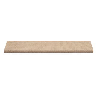 Palet fibra pentru pompa vacuum aparat de muls vaci 4,90x41,5x200mm Breckner Germany