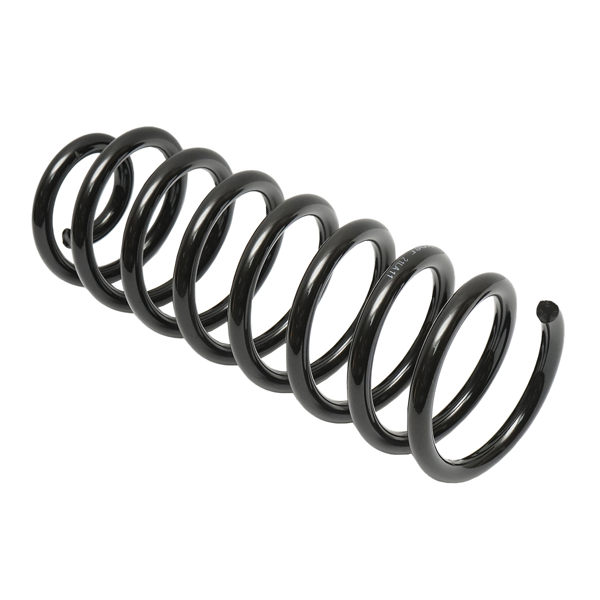 Arc spate Dacia Logan 6001547493 - imagine 2